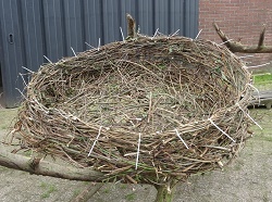 nieuw nest